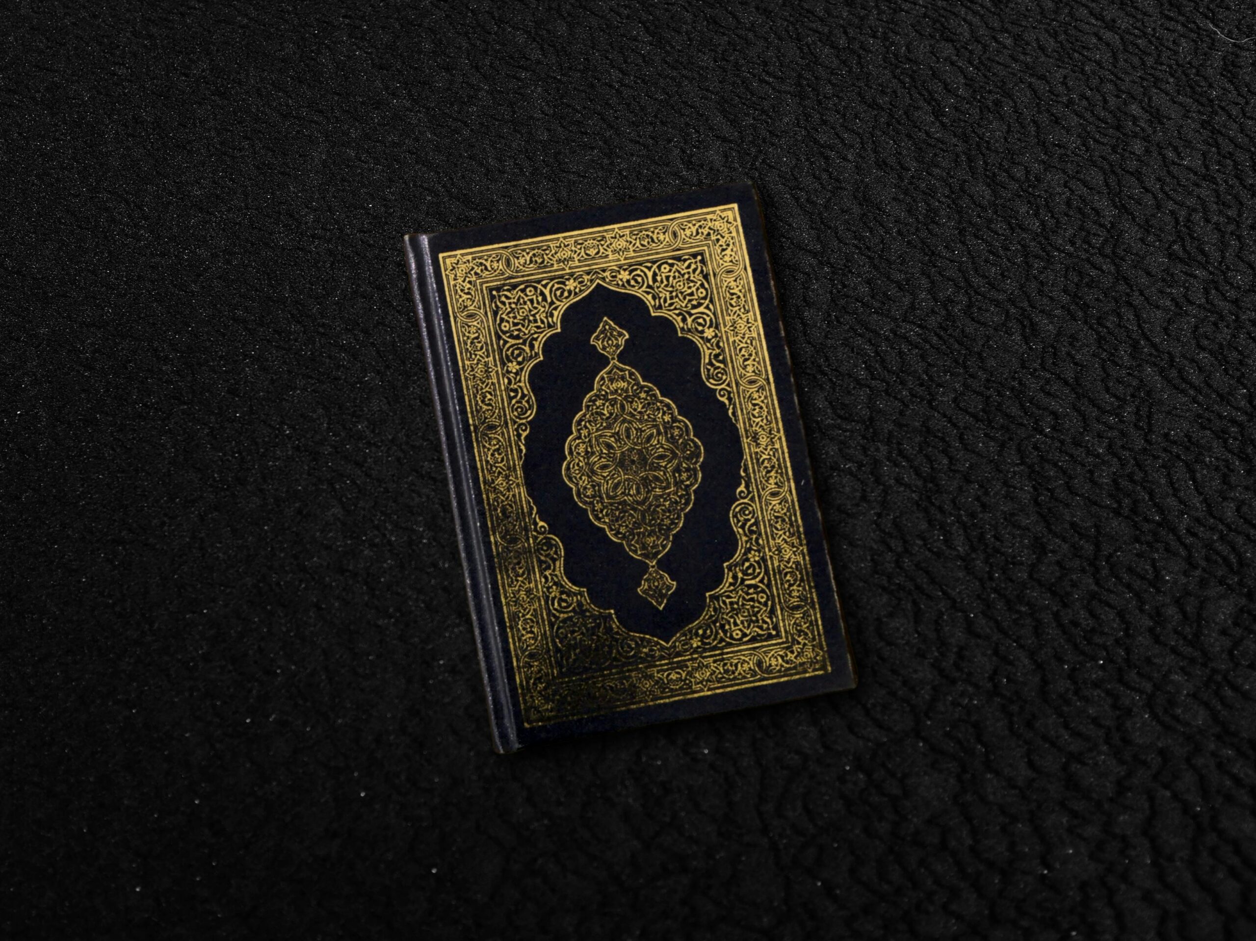 Holy Quran Studies